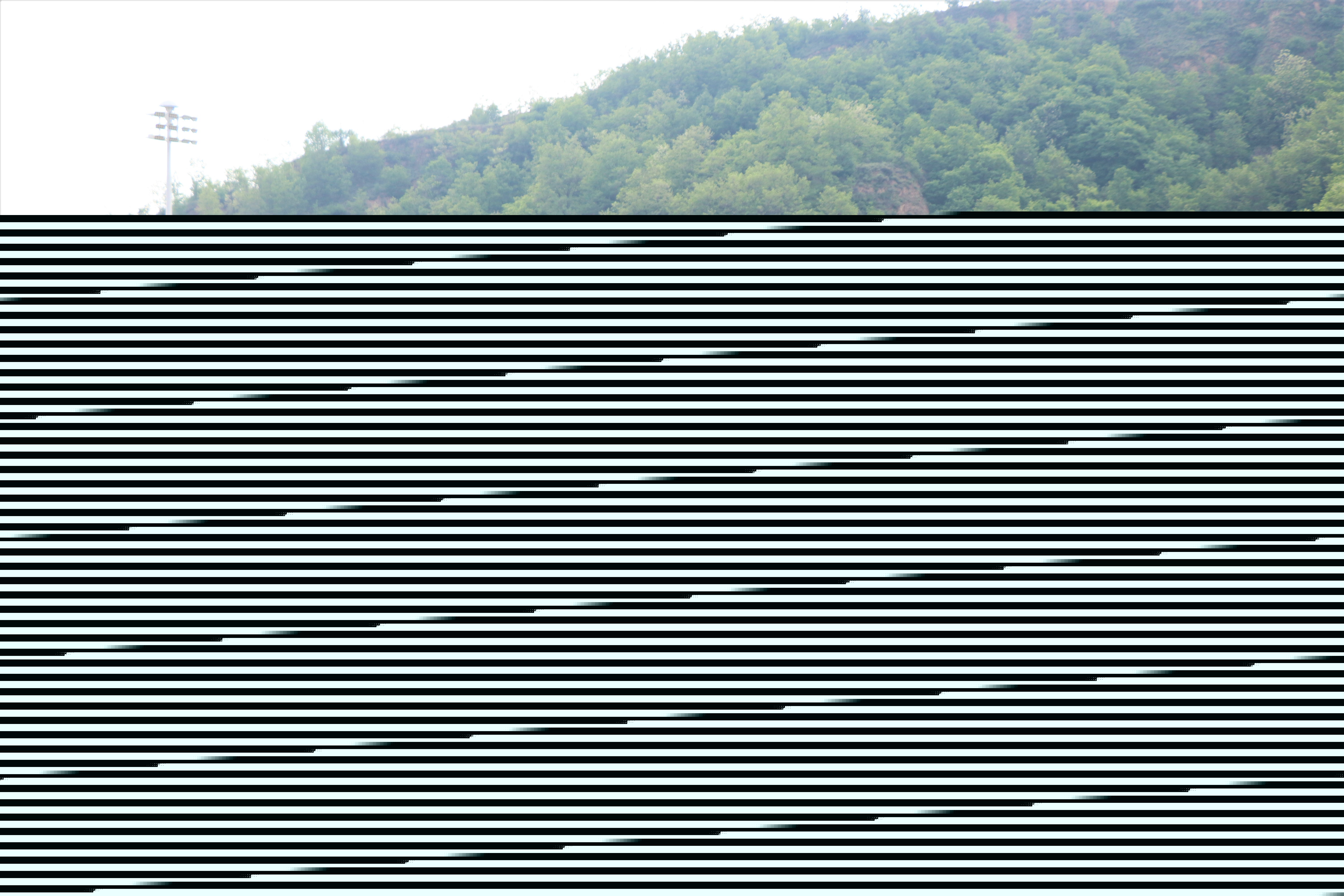 1653618339847917.jpg